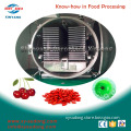 industrial food vacuum dehydrator machine for sale